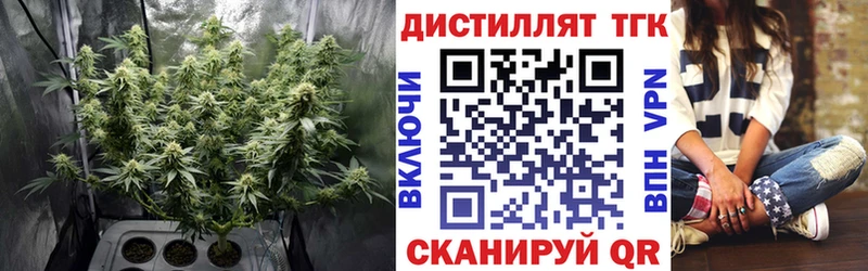 Купить закладки Барнаул Дистиллят ТГК жижа